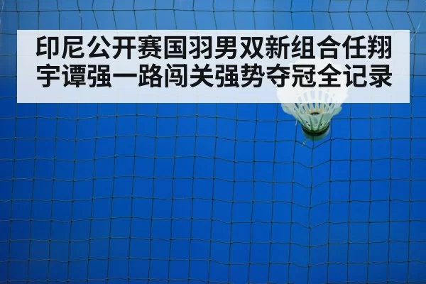 badminton net play