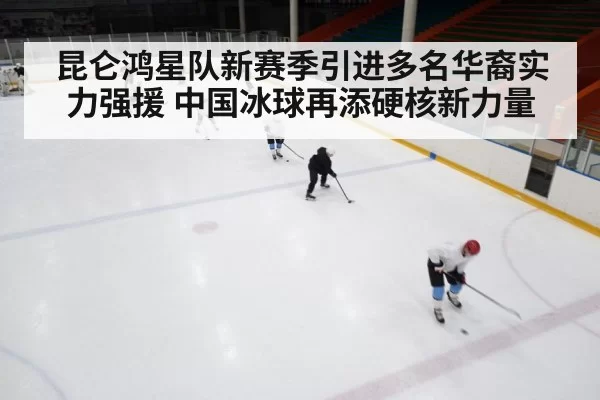 ice hockey training